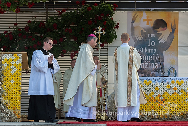 20160911 silines 9333 ms