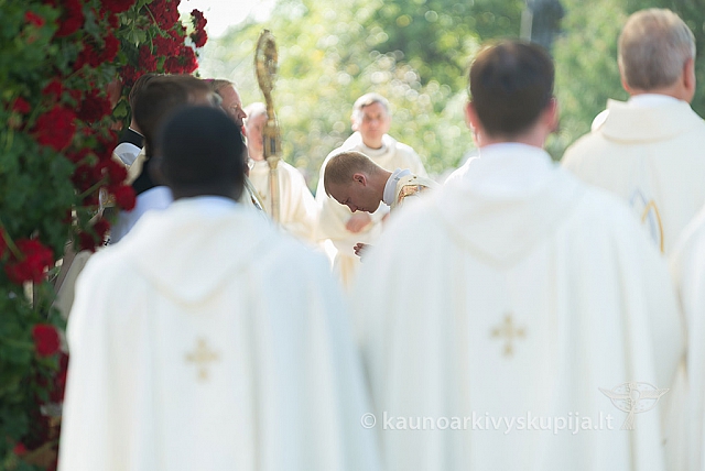 20160911 silines 9358 ms