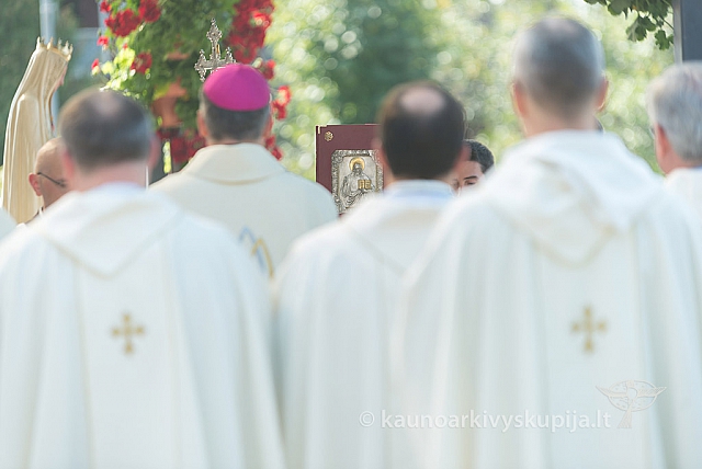 20160911 silines 9364 ms