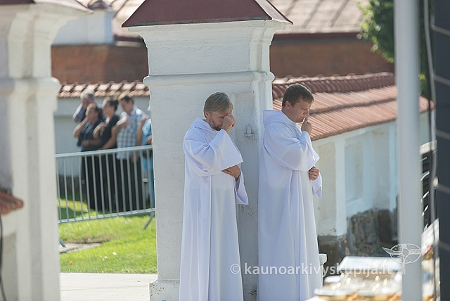 20160911 silines 9369 ms