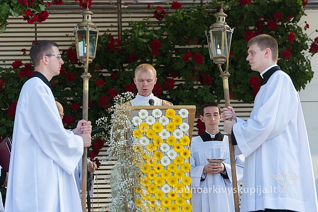 20160911 silines 9375 ms