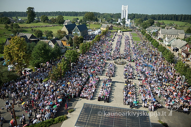 20160911 silines 9390 ms