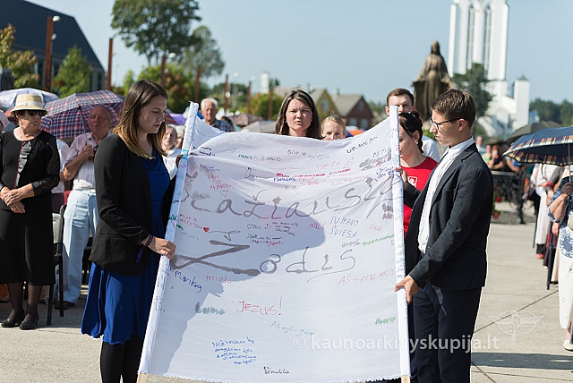 20160911 silines 9401 ms