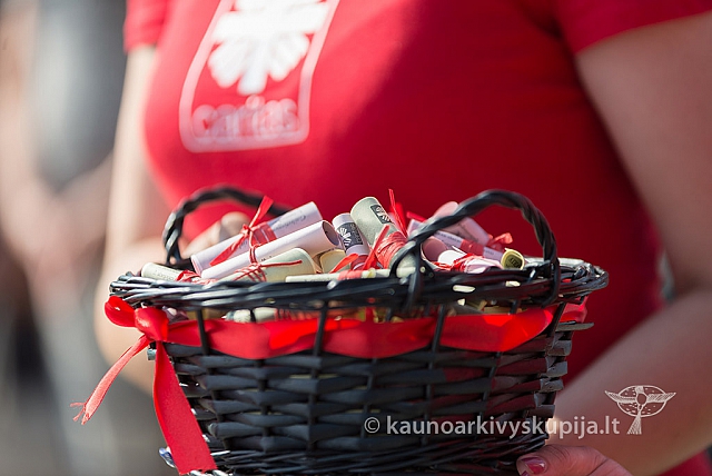 20160911 silines 9403 ms