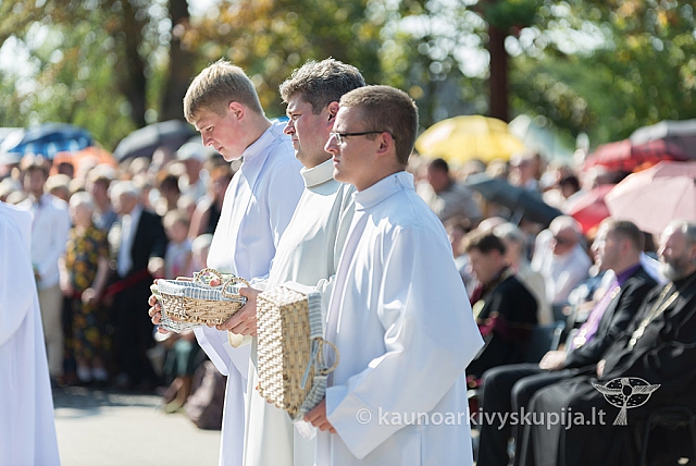 20160911 silines 9424 ms