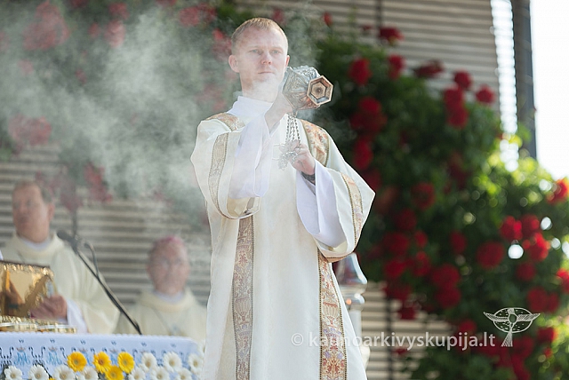 20160911 silines 9434 ms