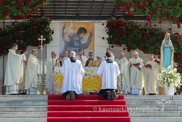 20160911 silines 9437 ms