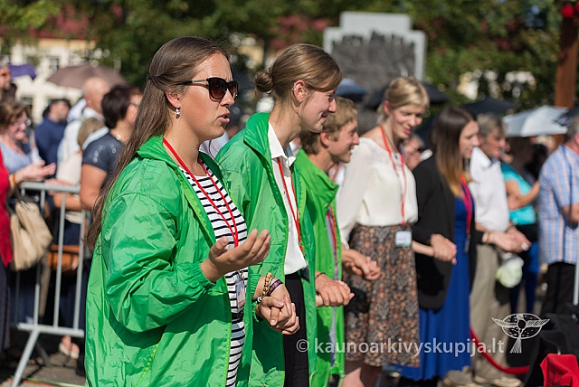 20160911 silines 9453 ms