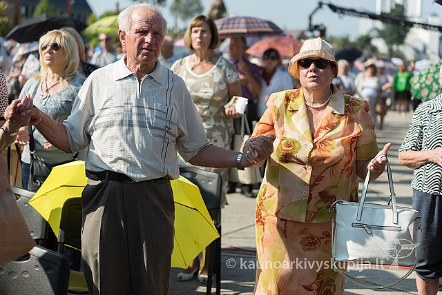 20160911 silines 9454 ms