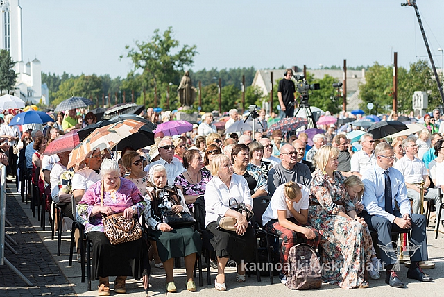 20160911 silines 9477 ms