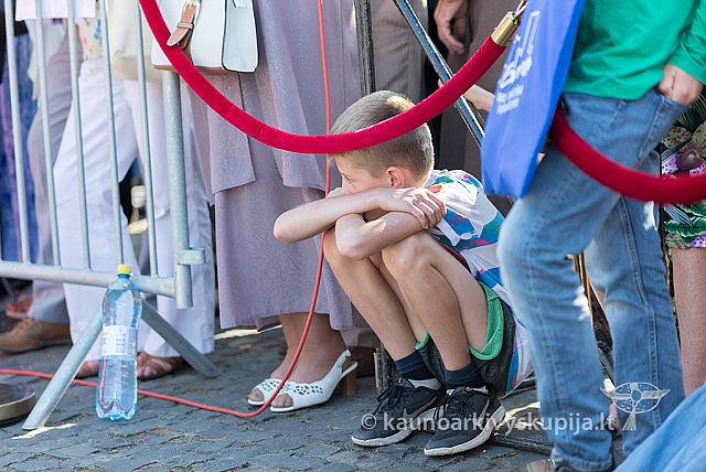 20160911 silines 9482 ms