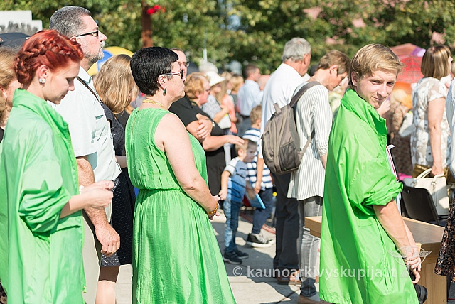 20160911 silines 9491 ms