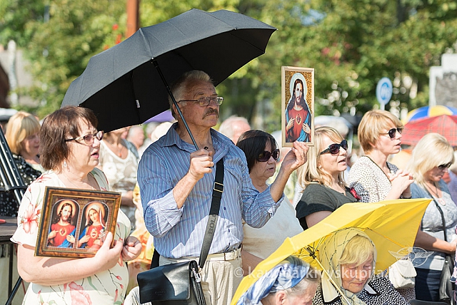 20160911 silines 9493 ms