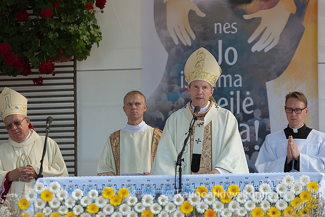 20160911 silines 9495 ms