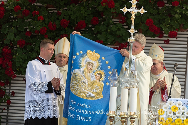 20160911 silines 9505 ms