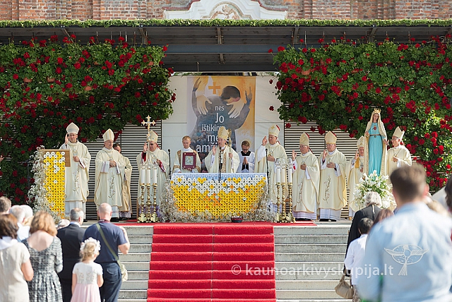 20160911 silines 9515 ms