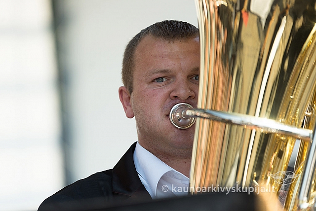 20160911 silines 9544 ms