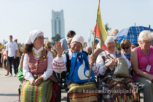 20160911 silines 9593 ms