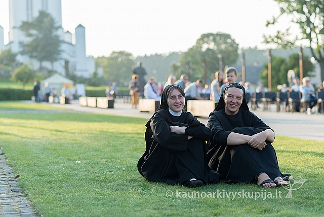 20160911 silines 9604 ms