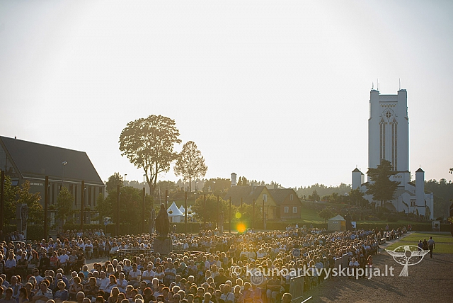 20160911 silines 9622 ms