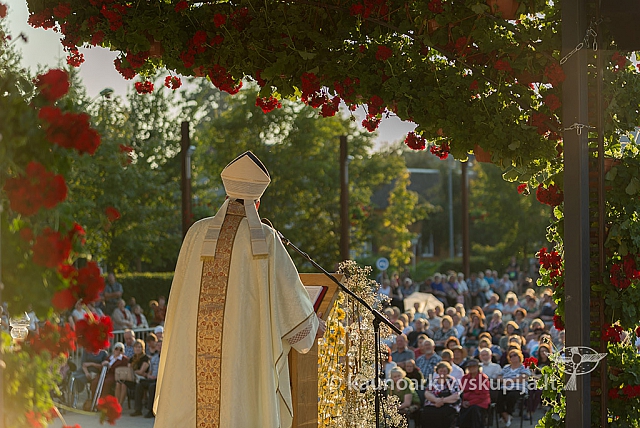 20160911 silines 9626 ms