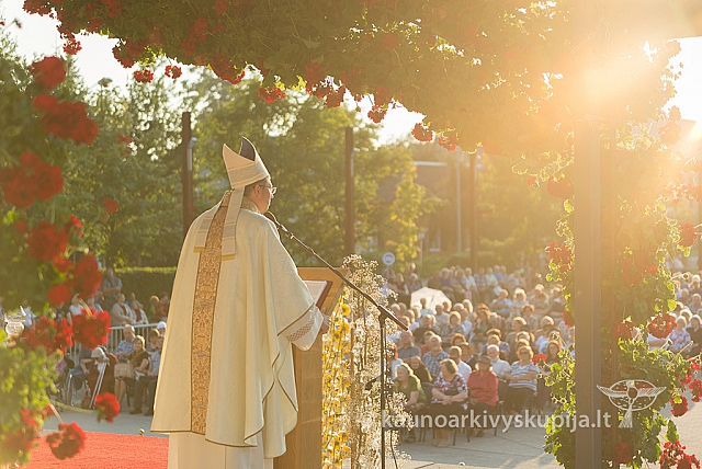 20160911 silines 9628 ms