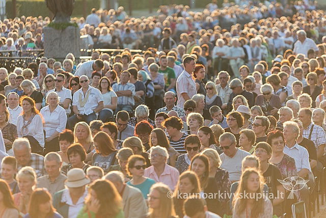 20160911 silines 9643 ms