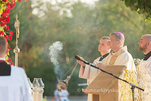 20160911 silines 9658 ms