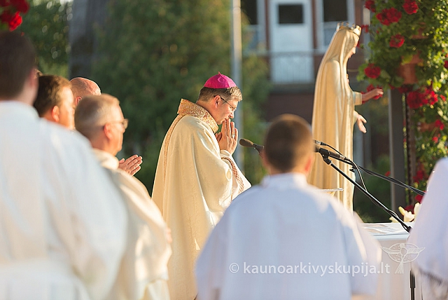 20160911 silines 9665 ms