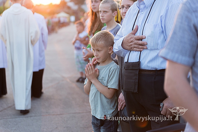 20160911 silines 9756 ms