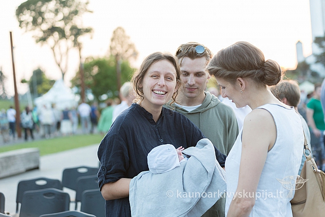 20160911 silines 9790 ms