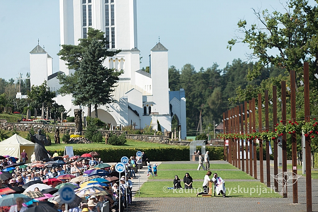 20160912 silines 0047 ms