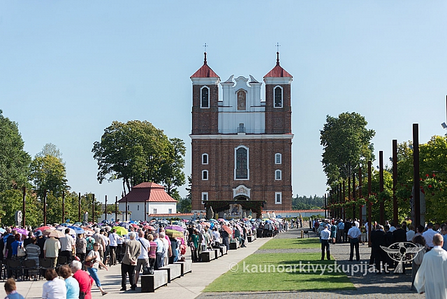 20160912 silines 0056 ms