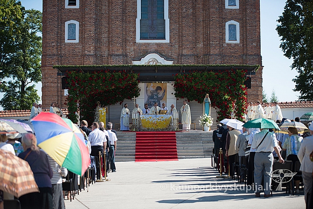 20160912 silines 0058 ms