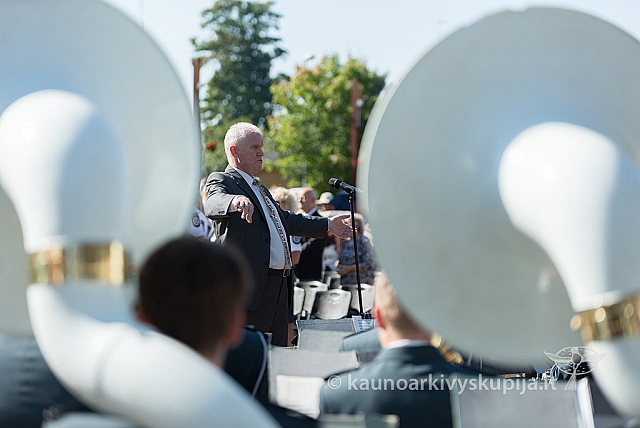 20160912 silines 0074 ms