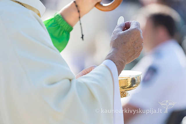 20160912 silines 0081 ms