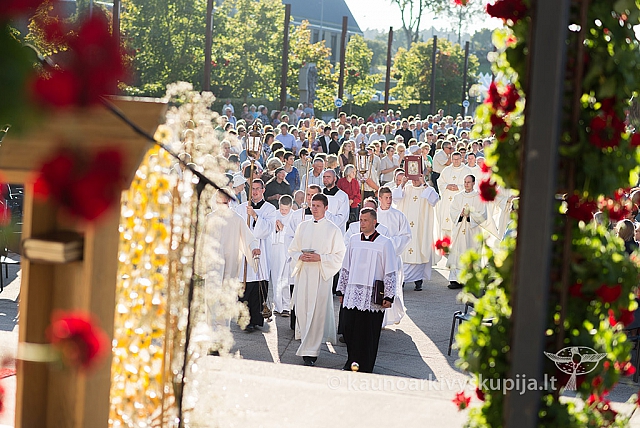 20160912 silines 0186 ms