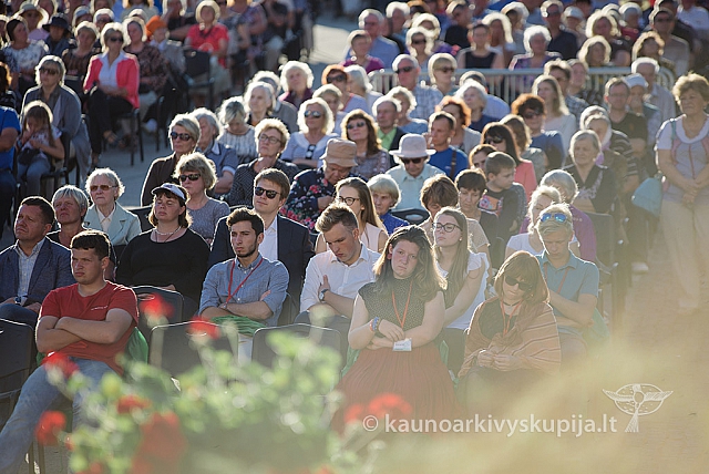 20160912 silines 0237 ms