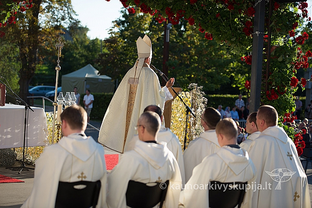 20160912 silines 0240 ms