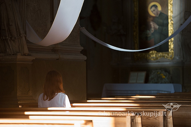 20160912 silines 0245 ms