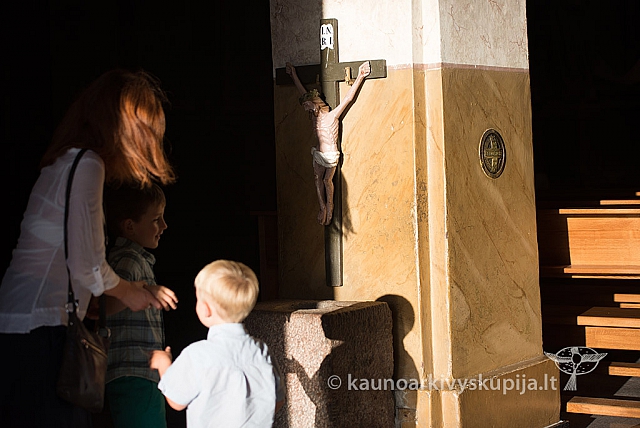 20160912 silines 0250 ms