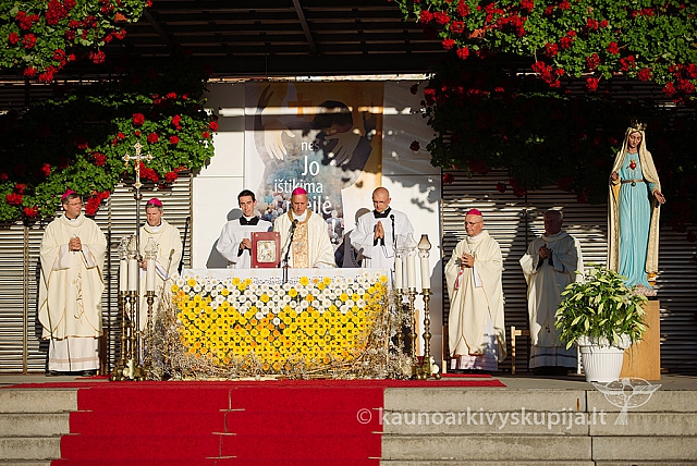 20160912 silines 0253 ms