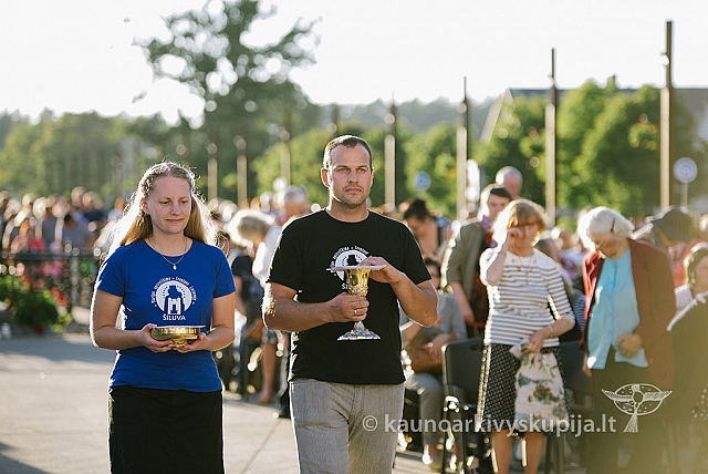 20160912 silines 0255 ms