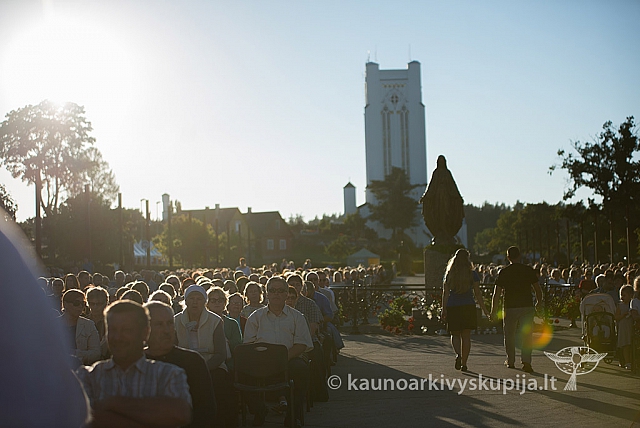 20160912 silines 0271 ms