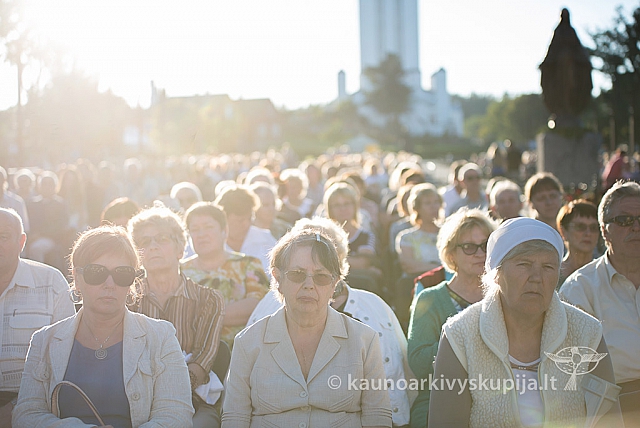 20160912 silines 0273 ms