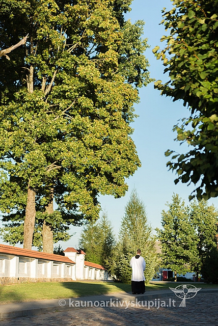 20160912 silines 0284 ms