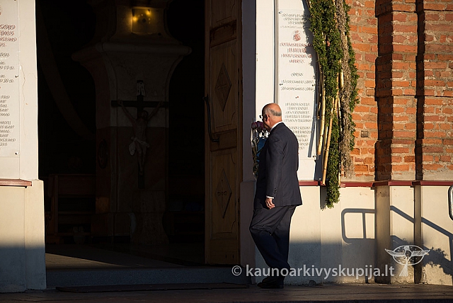 20160912 silines 0324 ms