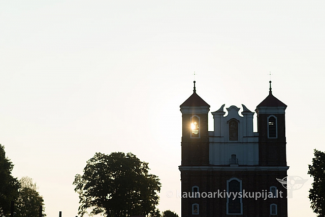 20160912 silines 9841 ms