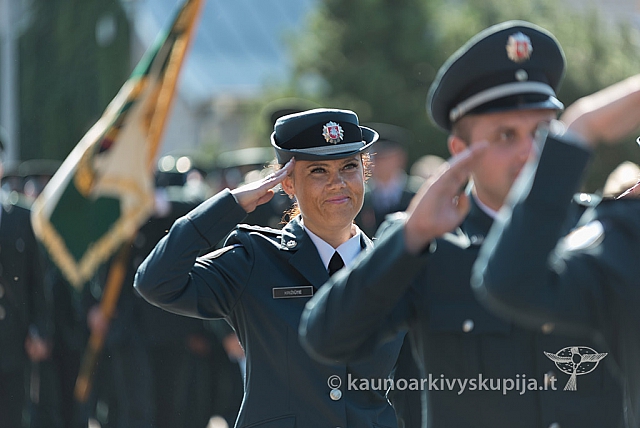 20160912 silines 9913 ms