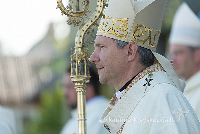 20160912 silines 9960 ms